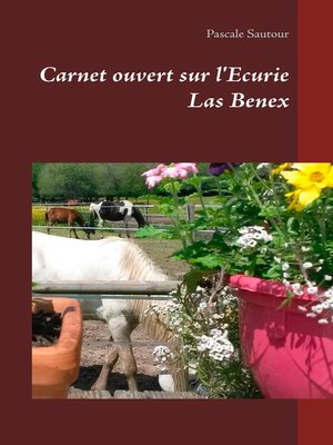cover image of Carnet ouvert sur l'Ecurie Las Benex